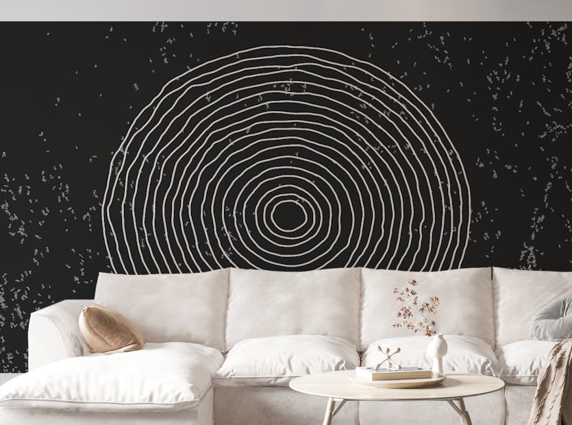 Peel and Stick Black & White Concentric Circles Wallpaper Mural