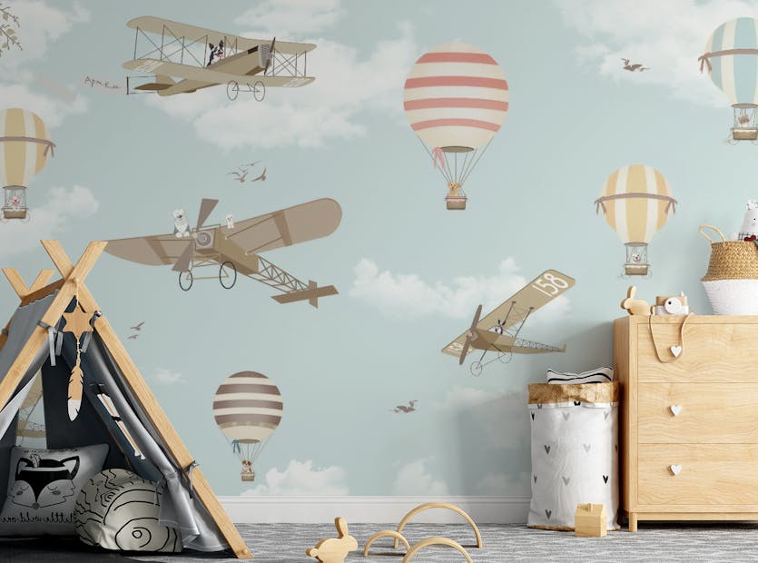 Peel and Stick Hot Air Balloons & Planes Funland Wallpaper Murals