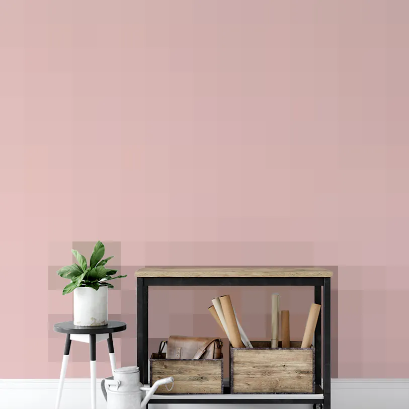 French Dotted Checks Pink Wallpaper for Walls