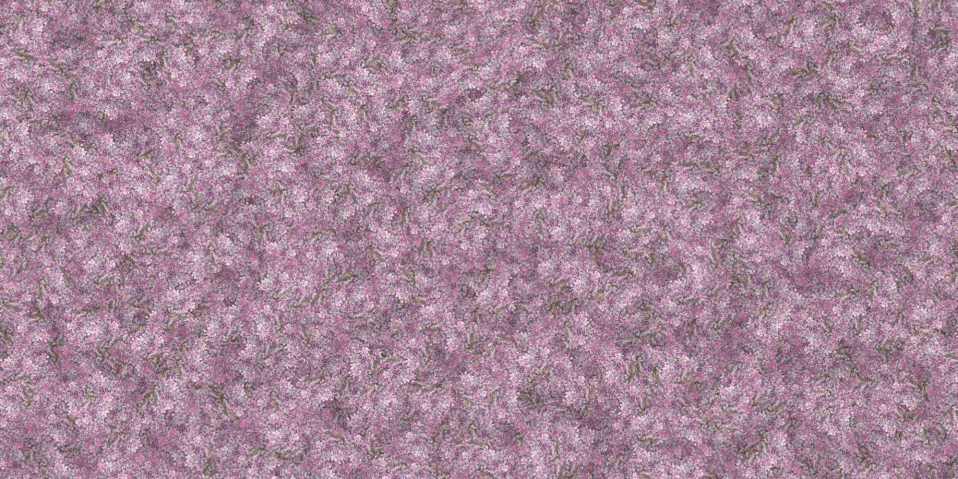 AS Creation Chicago Flower Pattern Floral Motif Silver Glitter Wallpaper  306234  Cream Purple  I Want Wallpaper