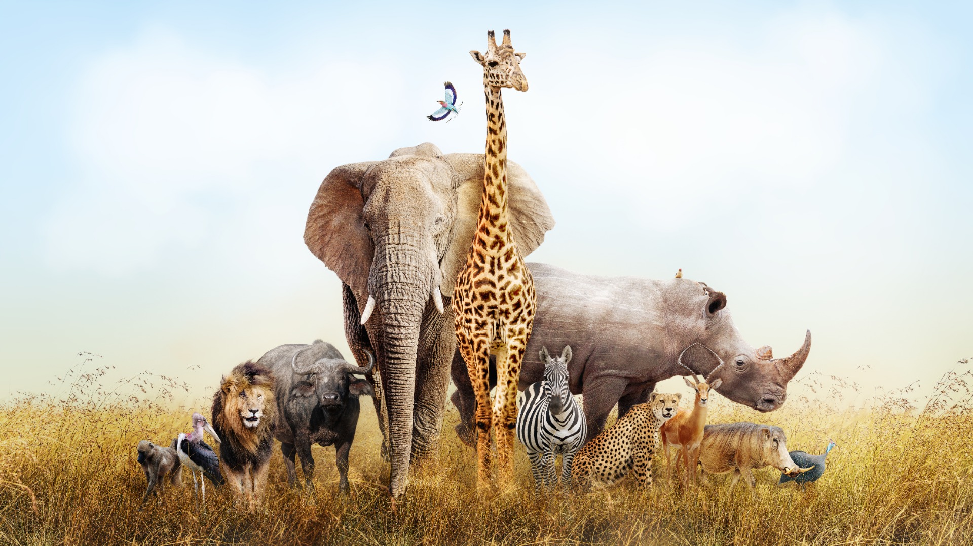 Photo Wallpaper Exotic Landscape - Jungle in Subdued Colors With Animals -  For children - Wall Murals