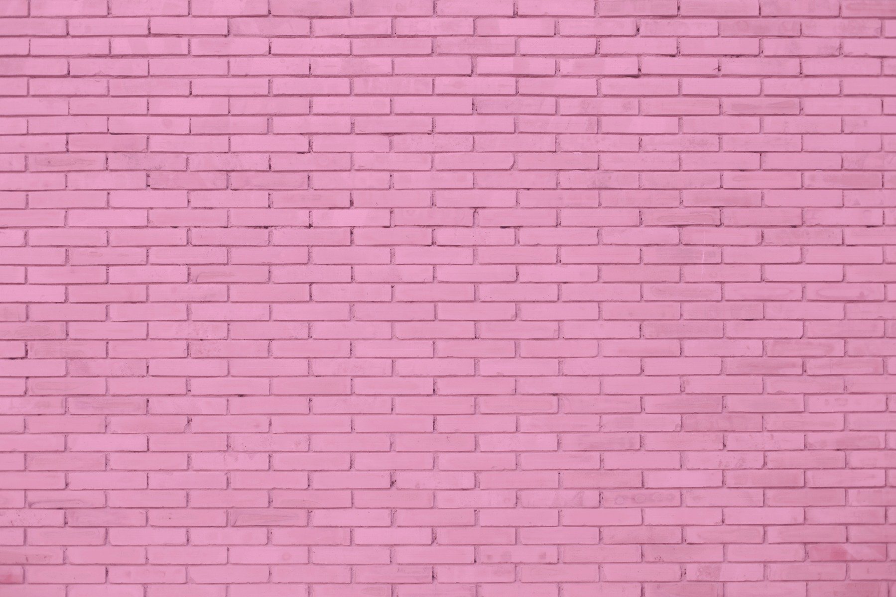 Download A Pink Brick Wall  Wallpaperscom