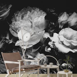 Black and White Rose Spectacle Wall Mural