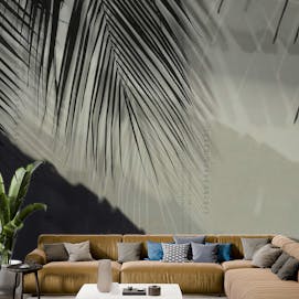 Palm Leaf Shadow Wallpaper Mural